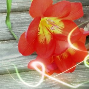 Meet your Posher, Carol